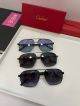 Cartier Purple Rimless Unisex Pure Titanium Eyeglasses 061101 (2)_th.jpg